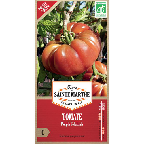 Visuel 1 du produit Graines de Tomate Purple Calabash bio Ferme de Sainte Marthe - graines à semer