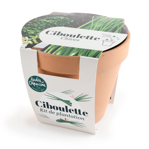 Visuel 1 du produit Kit de semence potager pot terre cuite antique ciboulette bio Radis & Capucine