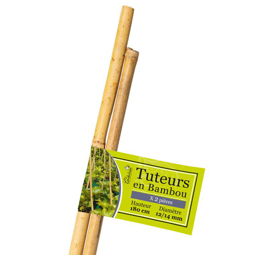 Visuel 1 du produit Lot de 2 tuteurs coloris bois en bambou - 180 cm
