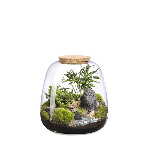 Visuel 1 du produit Terrarium autonome Moly Landscape botanic® - taille L
