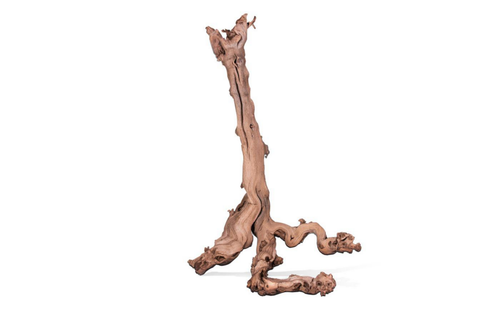 Visuel 1 du produit Racine pour terrarium coloris marron Aquavie Mopavigne - Taille L