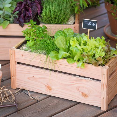 Visuel 5 du produit Etiquettes à planter en bois – 14 cm
