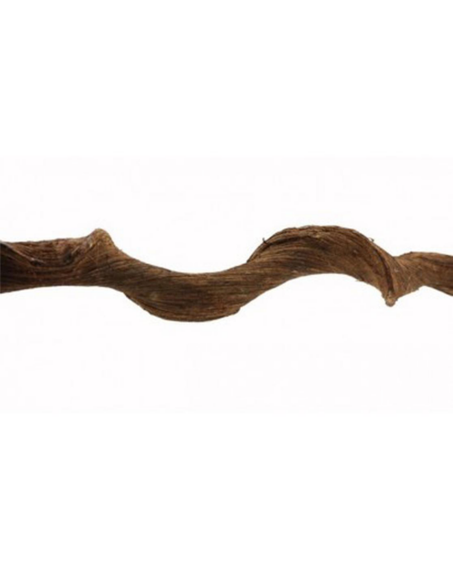 Visuel 1 du produit Liane naturelle pour terrarium coloris marron Reptile Premium Vine Sambawa - 1,8 à 2 m (4 - 6 cm)