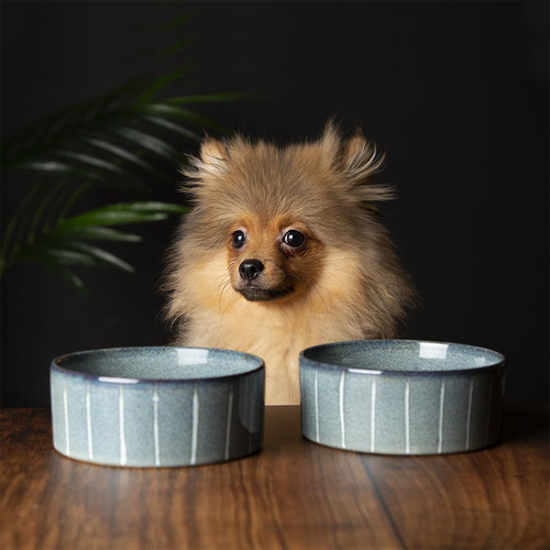Visuel 2 du produit Gamelle pour chien en grès coloris gris avec rayures Reactive Glaze Scruffs - 13 x 13 x 5 cm