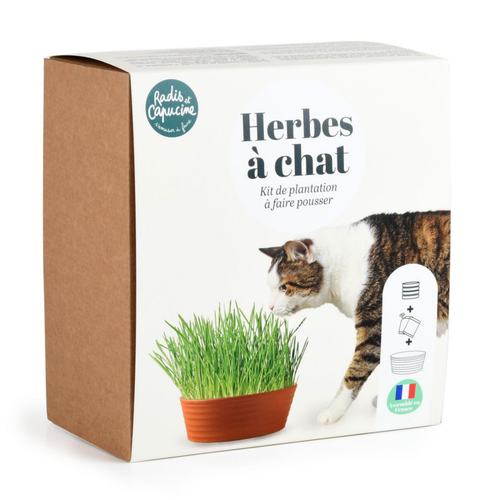 Visuel 1 du produit Coffret herbe à chat