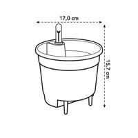 Visuel 16 du produit Système d'auto-arrosage Elho noir de 4 L Ø 17 cm