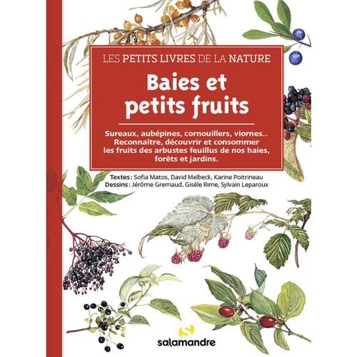 Visuel 1 du produit Le livre " Les petits livres de la nature - baies et petits fruits " aux Éditions Salamandre