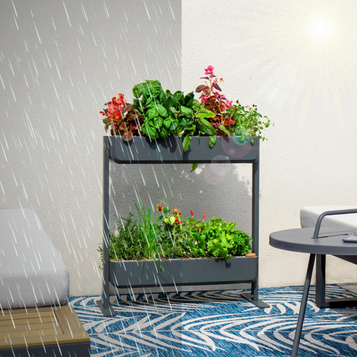 Visuel 6 du produit Potager coloris graphite Gourmet Indoor Véritable - 2 étages