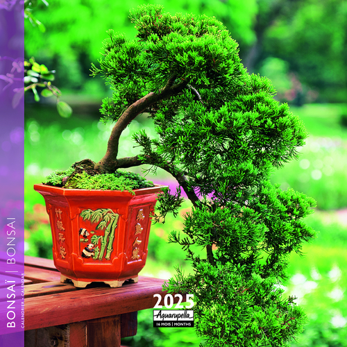 Visuel 1 du produit Calendrier 2025 Bonsai coloris multicolore Aquarupella - 16,5 x 16,5 cm