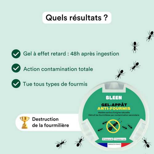 Visuel 3 du produit Gel appât anti-fourmis effet radical en 48h Bleen - 6 boîtes