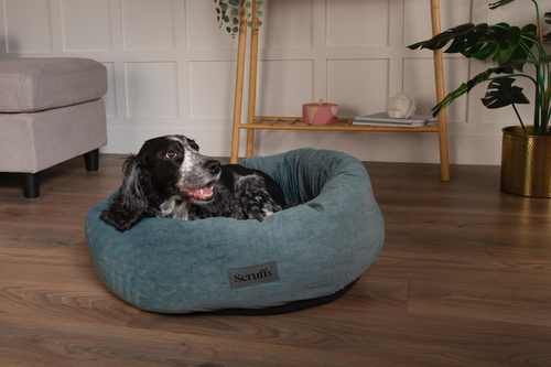 Visuel 7 du produit Corbeille pour chien coloris vert Scruffs Oslo Donut – Taille L