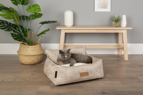 Visuel 6 du produit Corbeille pour chien beige Kensington Scruffs – Taille M