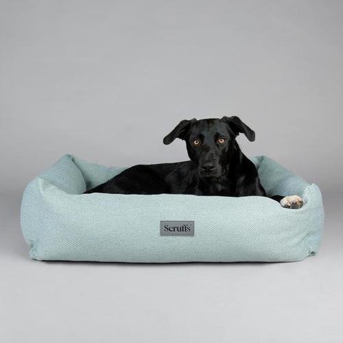 Visuel 6 du produit Couchage pour chien coloris vert corbeille Scruffs Ellen - Taille M 60 x 50 x 16 cm