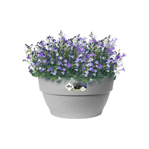 Visuel 7 du produit Coupe coloris living ciment Elho Vibia Campana - Ø 27 x H 14 cm