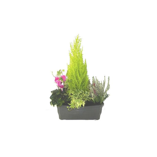 Visuel 1 du produit Jardinière pour columbarium - La jardinière de 30 cm