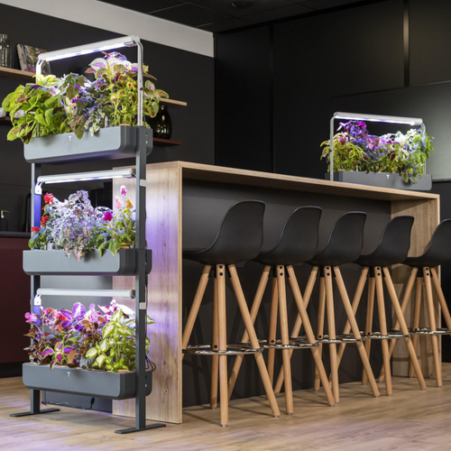 Visuel 8 du produit Potager coloris graphite Gourmet Indoor Véritable avec 6 lingots fournis - 1 étage