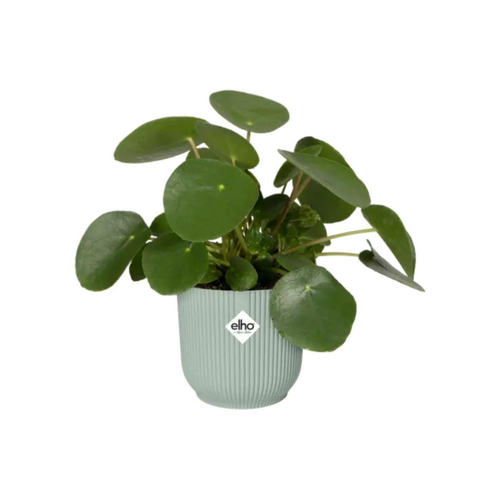 Visuel 2 du produit Cache-pot en plastique recyclé vert sorbet Elho Vibes fold rond - Ø 14 cm