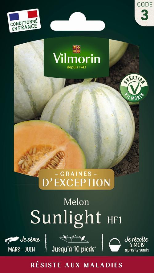 Visuel 1 du produit Graines de melon lisse sunlight coloris orange Vilmorin jardin jardin - graines à semer