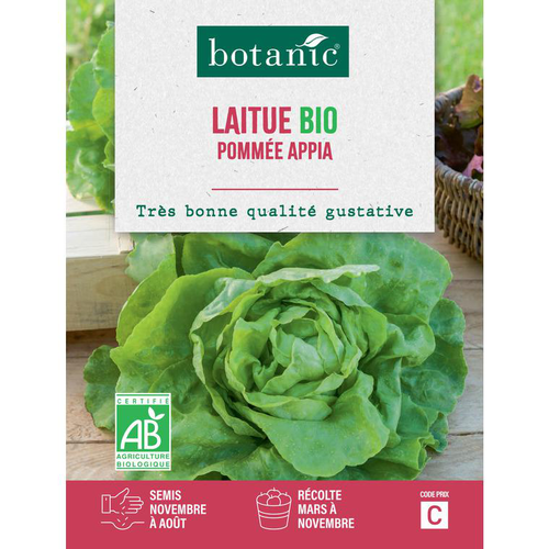 Visuel 1 du produit Graines de laitue pommée appia bio botanic® - graines pommée semer