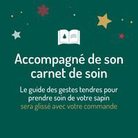 Visuel 5 du produit Sapin de Noël naturel coupé enneigé Glacé® blanc - de 110 à 125 cm