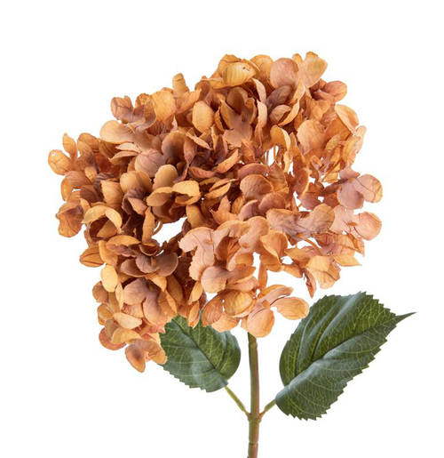 Visuel 2 du produit Fleur artificielle en papier hortensia coloris orange - H 65 cm