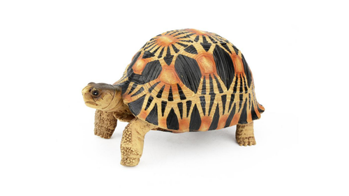 Visuel 1 du produit Décoration pour terrarium coloris multicolore en résine figurine tortue Terratlantis - 12,5 x 8,5 x 7 cm