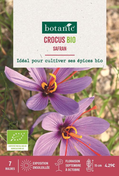 Visuel 1 du produit Crocus safran bio x7