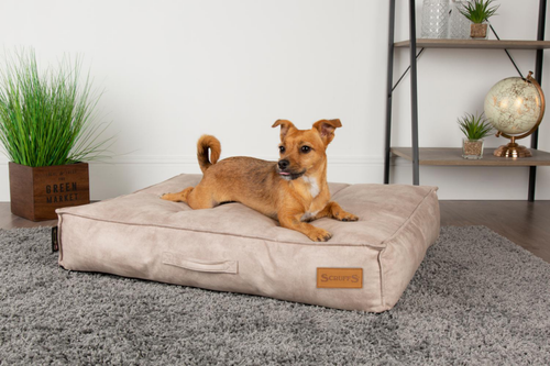 Visuel 4 du produit Coussin pour chien beige Kensington – Taille M