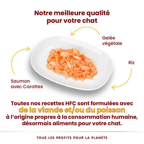 Visuel 3 du produit Pâtée pour chat HFC Jelly au saumon et carotte Almo Nature - 70 g