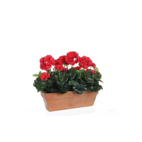 Visuel 1 du produit Géranium rouge plante artificielle en jardinière Terra 39x13x40 cm