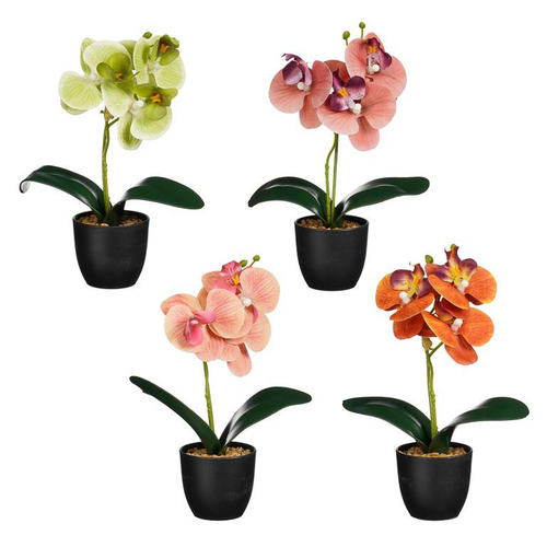 Visuel 1 du produit Orchidée artificielle colorée en pot - Ø 12 x H 26 cm