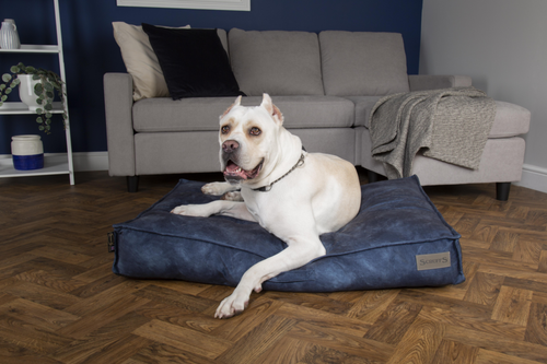 Visuel 4 du produit Coussin pour chien bleu Kensington – Taille M