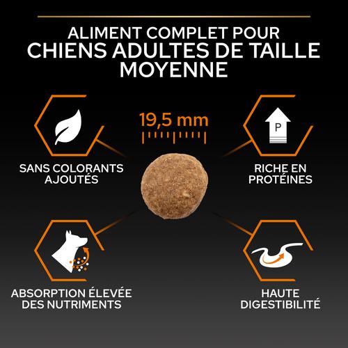 Visuel 7 du produit Croquettes pour chien Pro Plan Dog Large Adult Robust - 16,5 kg