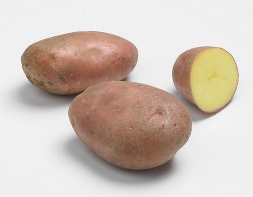 Visuel 1 du produit Sachet de pommes de terre rosabelle coloris 25/35 Clisson - 1,5 kg