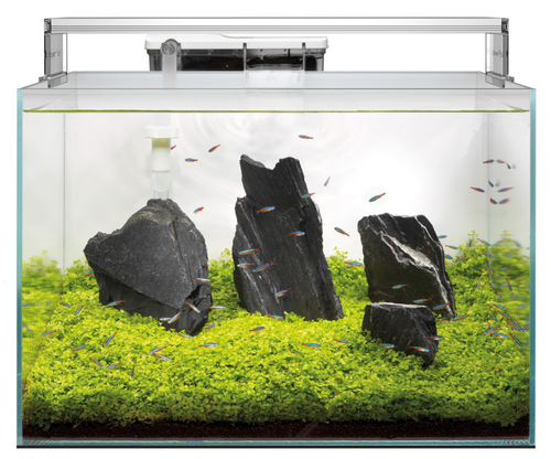 Visuel 1 du produit Aquarium tout équipé en verre blanc Superfish Scaper 90 - 60 x 40 x 38 cm