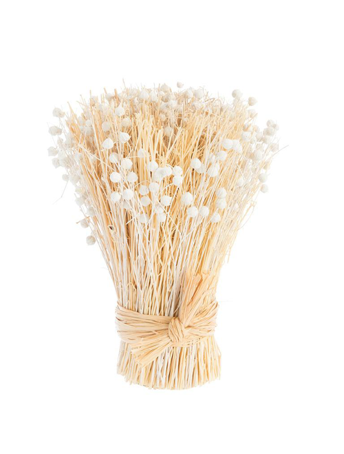 Visuel 1 du produit Botte boutons de fleurs séchées coloris beige naturel - 14 x 14 x 20 cm