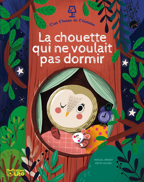 Visuel 1 du produit Livre "La chouette qui ne voulait pas dormir" aux Éditions Lito Collection C’est l'heure de l'histoire