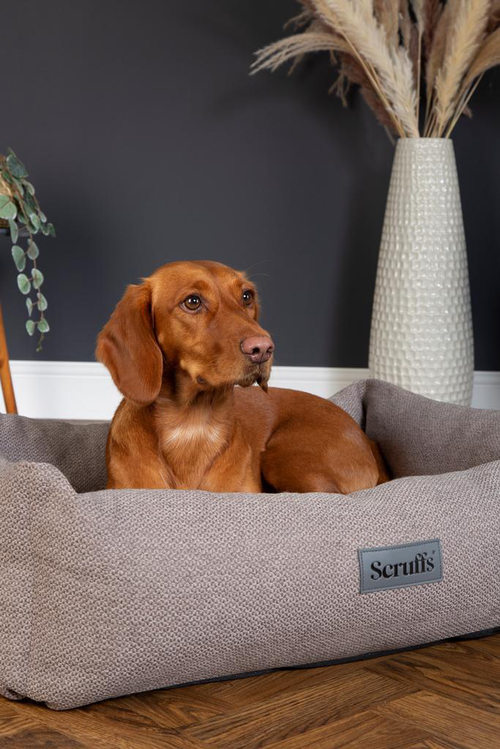 Visuel 6 du produit Couchage pour chien coloris gris corbeille Scruffs Ellen - Taille XL 90 x 70 x 18 cm