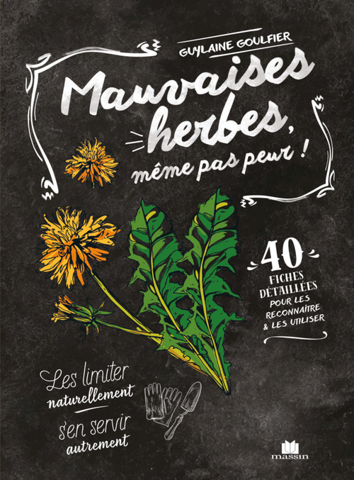 Visuel 1 du produit Livre "Mauvaises herbes, même pas peur !" Éditions Massin