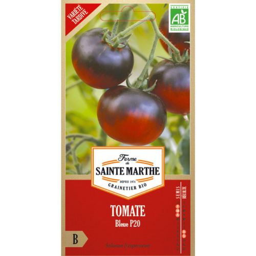 Visuel 1 du produit Sachet de graines de tomate bleue - 50 graines
