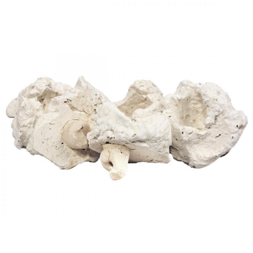 Visuel 2 du produit Pins à corail en plastique, AQUA MEDIC, modèle Coral - 10 plugs