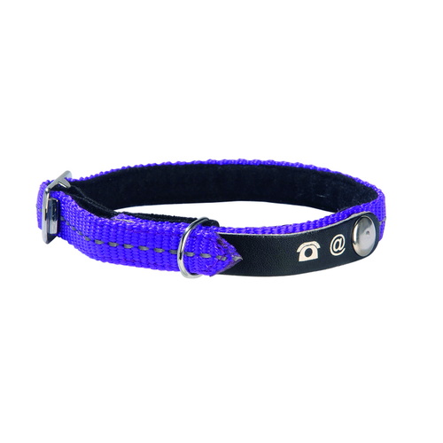 Visuel 1 du produit Collier chat Lost violet taille XS