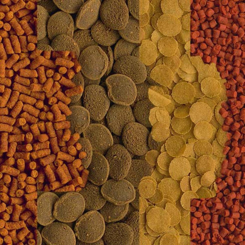 Visuel 2 du produit Menu pour crustacés enrichi en nutriments, TETRA Crusta - 52g, 100ml