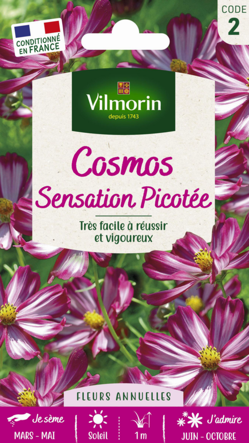 Visuel 1 du produit Graines de Cosmos Sensation Picotée Vilmorin - graines à semer