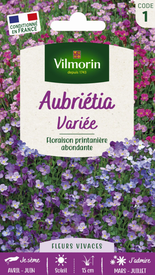 Visuel 1 du produit Aubrétia Variée Vilmorin - graines à semer