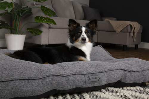 Visuel 5 du produit Coussin pour chien gris foncé Manhattan Scruffs – Taille L