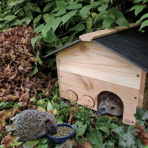 Visuel 2 du produit Abri pour hérisson XXL en bois pin douglas Natures Market - 61,5 x 42 x 32 cm