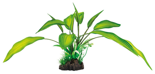 Visuel 1 du produit Plante artificielle pour aquarium ou terrarium coloris vert Cryptocoryne SuperFish Art Plant  M - 25 cm