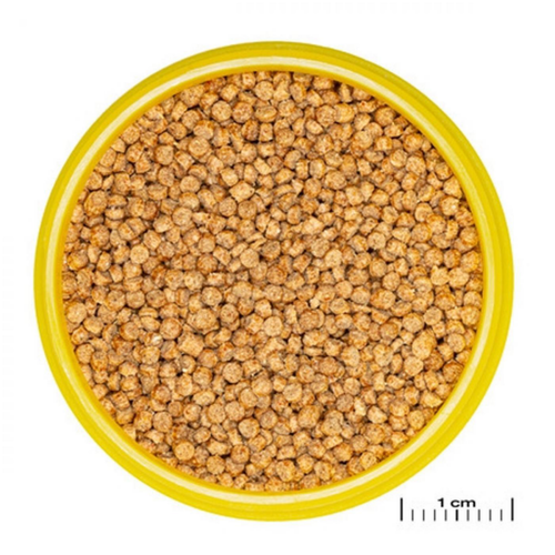 Visuel 2 du produit Nourriture pour poisson spéciale cichlides, granulés, JBL ProNovo - 130g/250ml