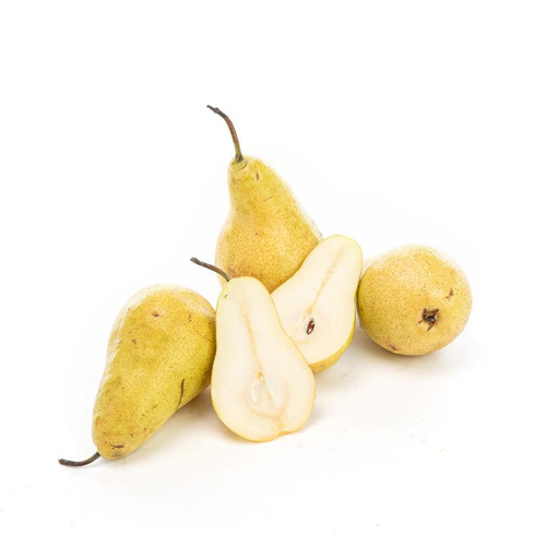 Visuel 1 du produit Poire variété Harrow sweet bio de France - Prix au kg